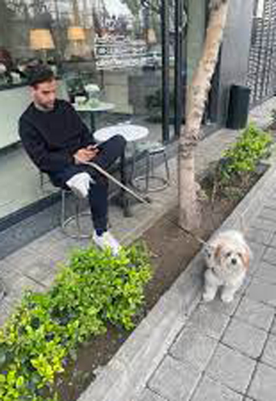 علیداد برادار و نمایش خانگی علیداد برادار و نمایش خانگی